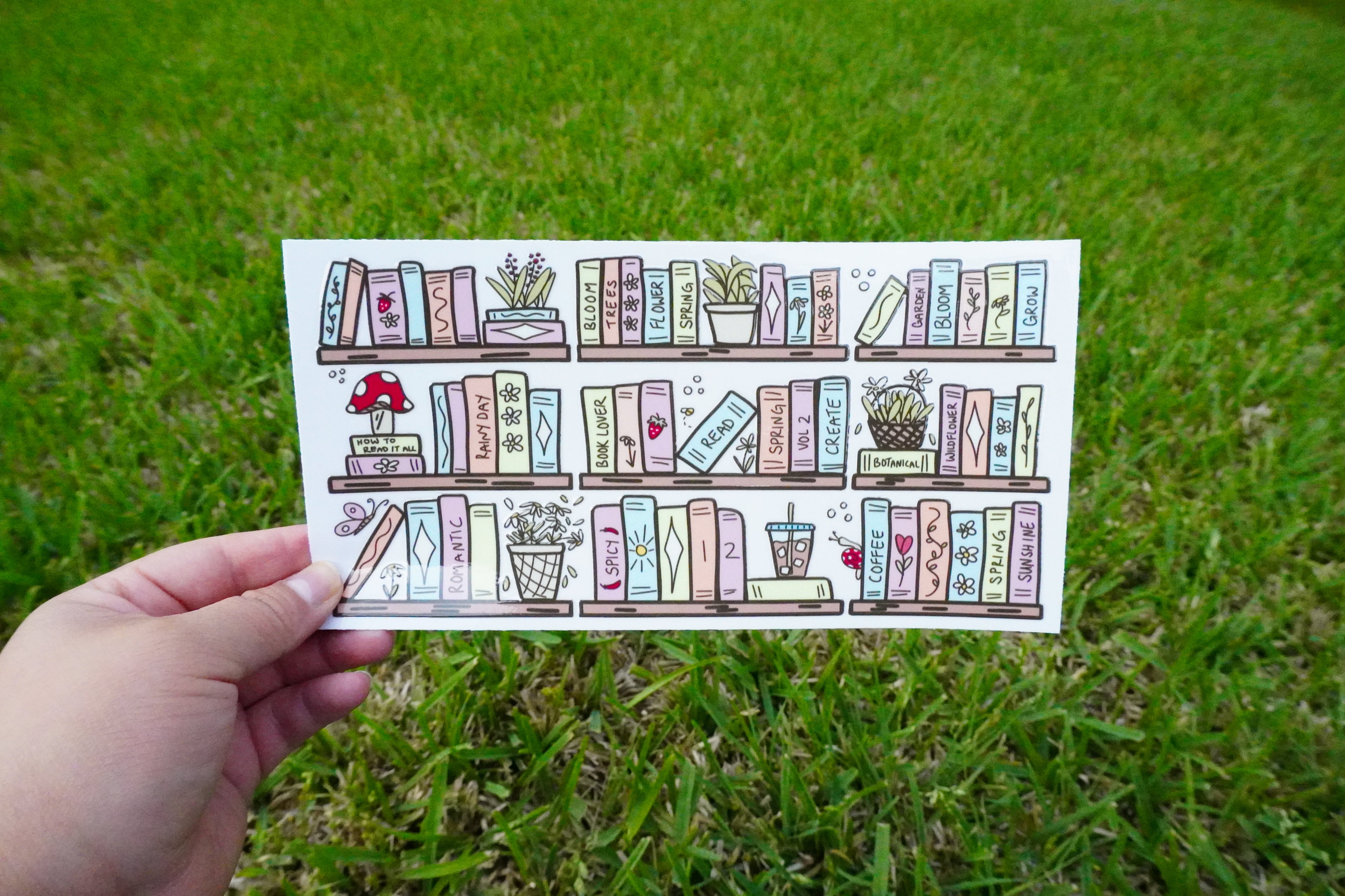 Caps & Books Collection