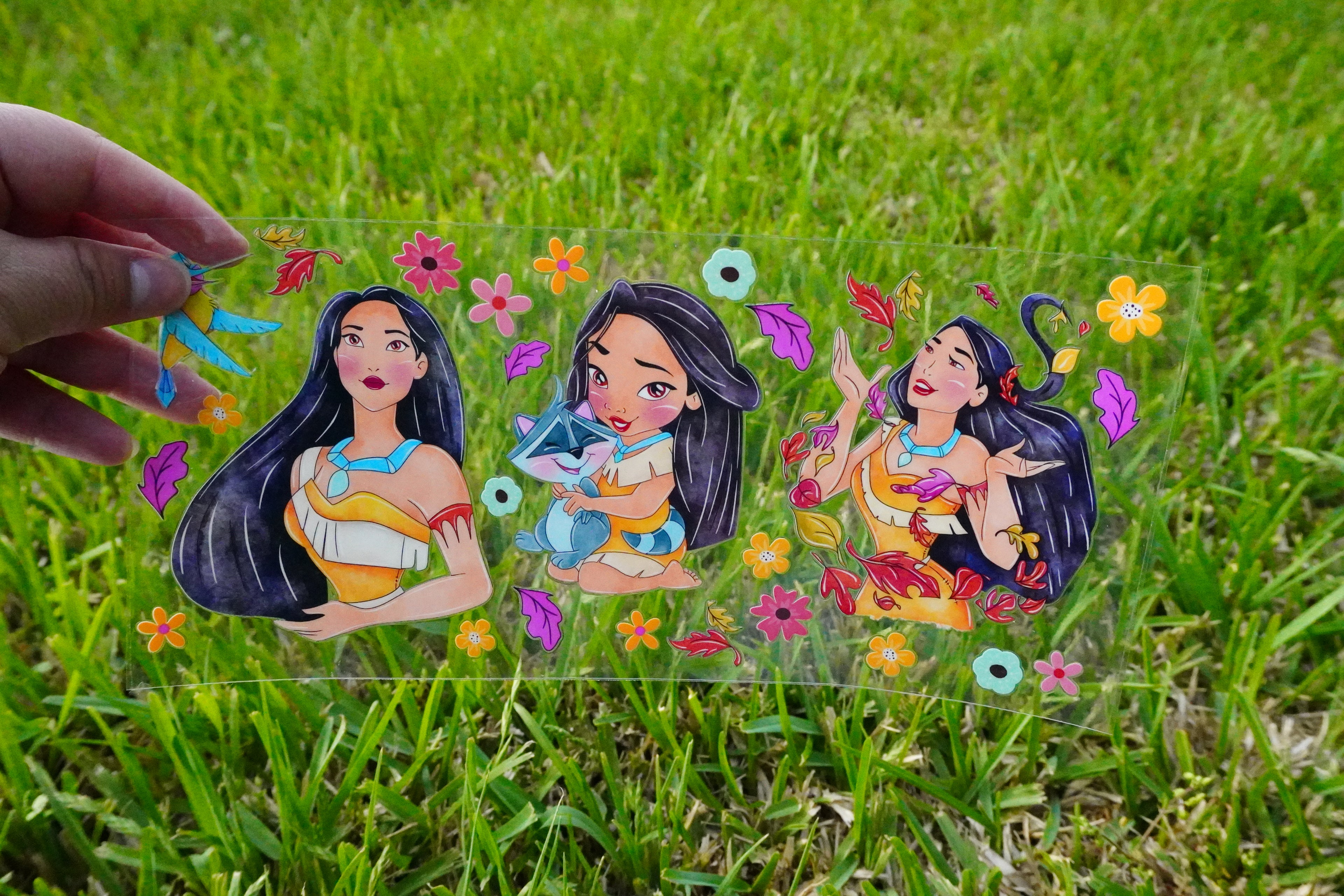 Princess Collection
